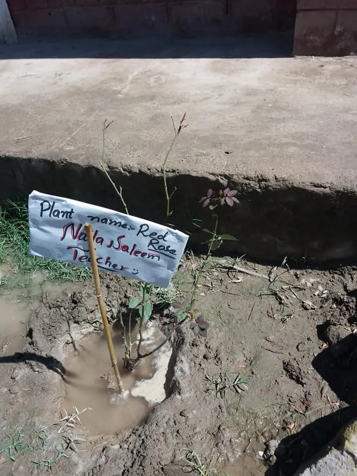 Green Seekers Activity